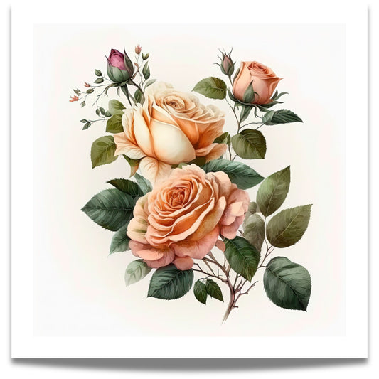 ROMANTIC ROSE No4 – akvarell plakat eller lerret i klassisk rosestil fremhever det tidløse ved rosemotivet, med store blomster i krem, fersken og pudderrosa