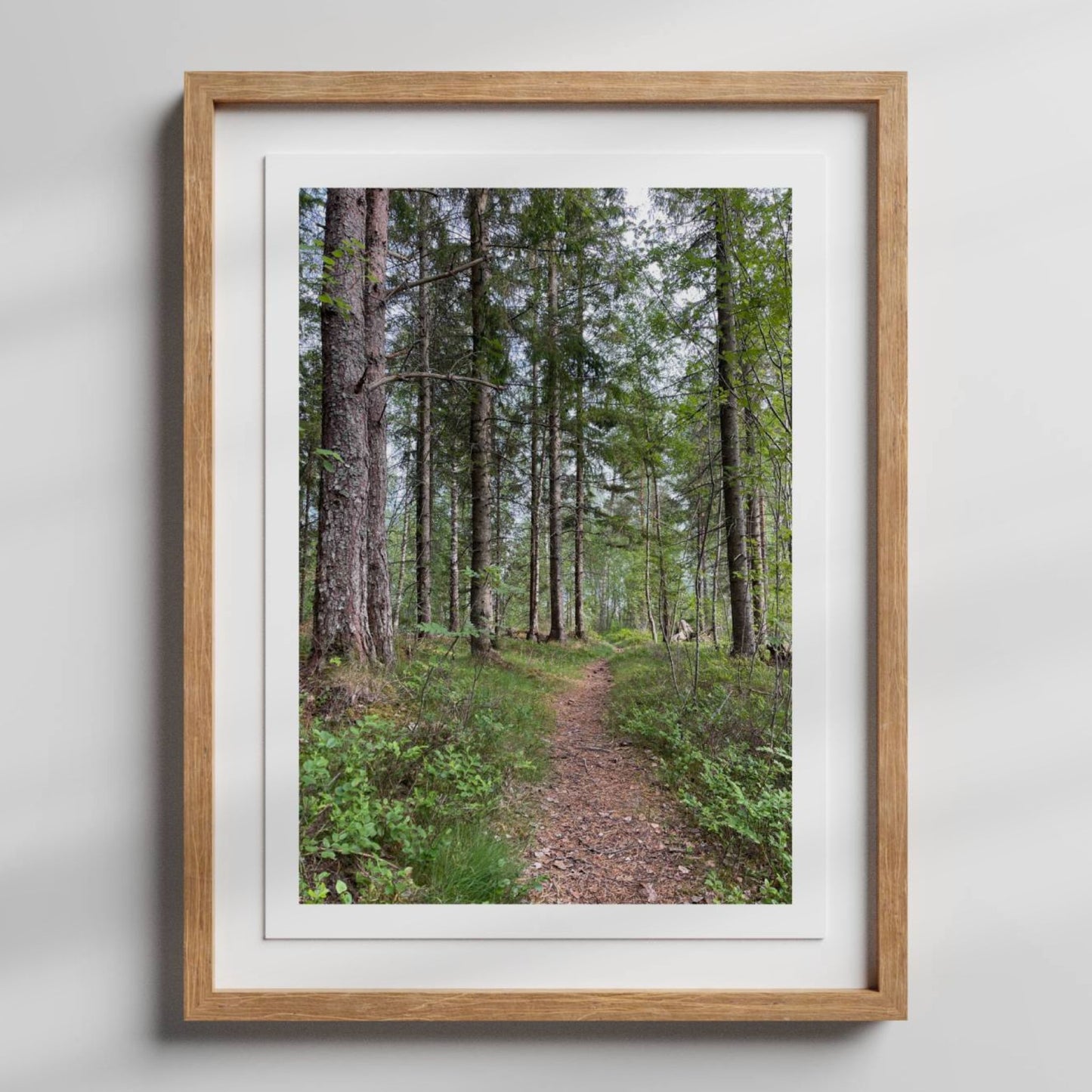 Et stille og oppdagelsesrikt motiv som passer like godt i kontor som stue – og for alle som finner ro i skogens nærvær. Illustrasjon viser motivet som plakat med hvit kantlinje i eik ramme.