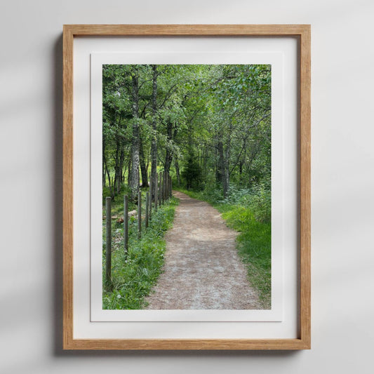 Dette er natur på sitt mest tilgjengelige og ekte – et bilde som passer perfekt for deg som ønsker et rolig og velbalansert uttrykk på veggen. Illustrasjon viser motivet som plakat med hvit kantlinje i eik ramme.