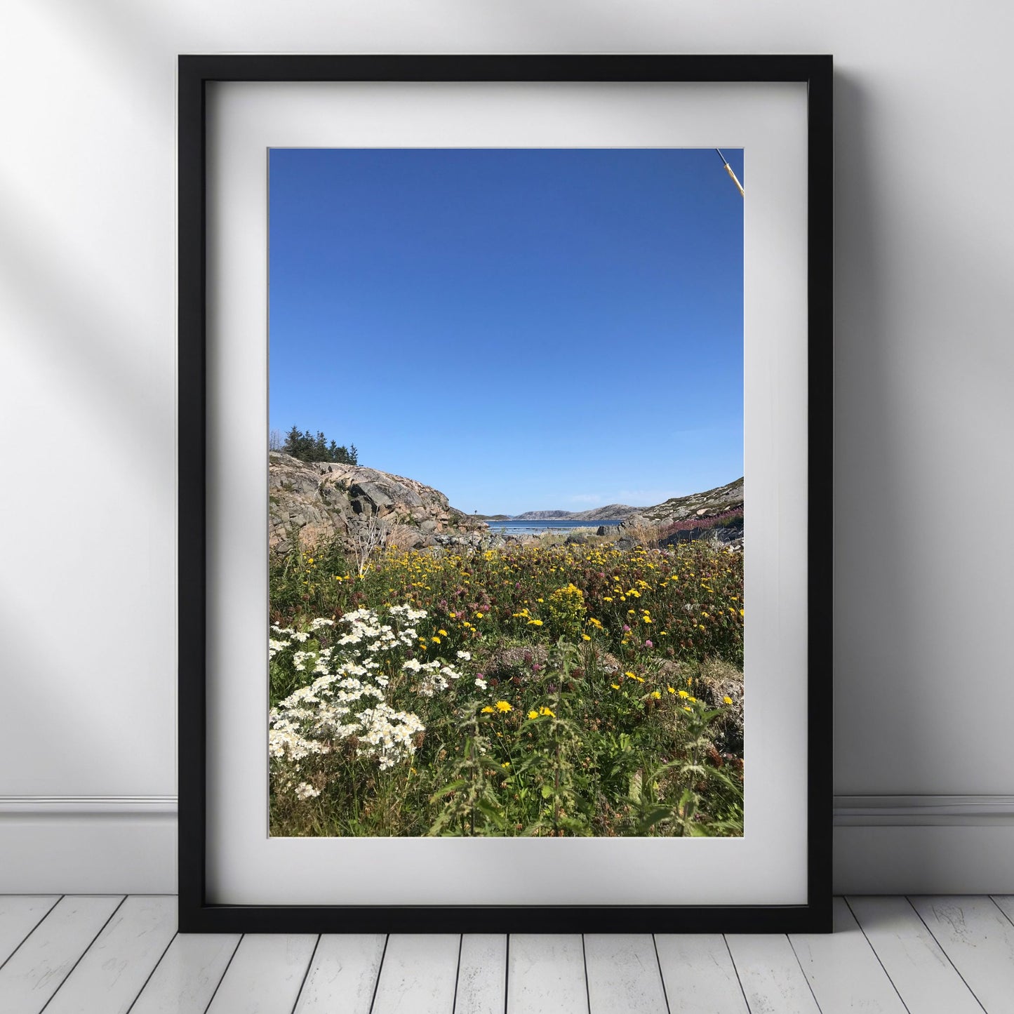 Dette bildet balanserer blomstrende detaljer i forgrunnen med fjell, himmel og sjø i horisonten – en harmonisk blanding av liv og landskap. Illustrasjon viser motivet som plakat med passepartout i sort ramme.
