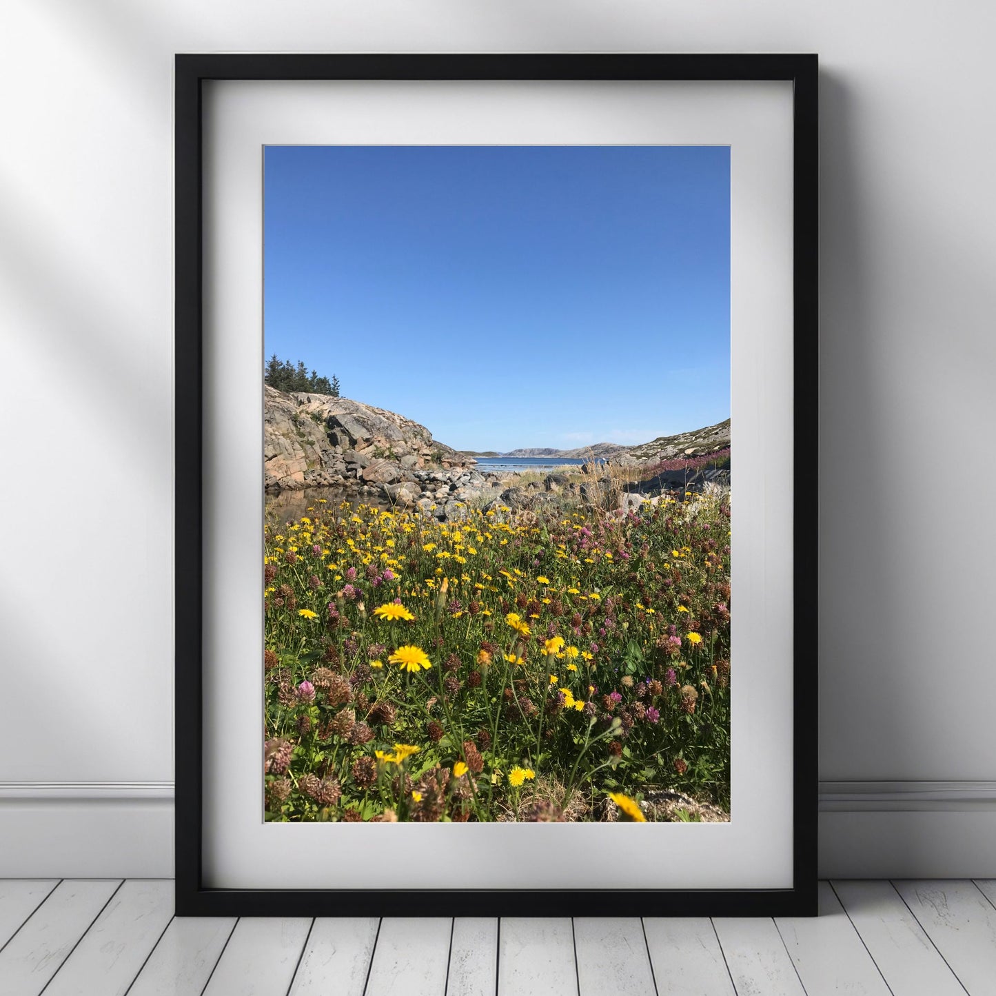 Småværet – Kysteng i Blomstring viser et nærbilde av en eng i full flor, med gule og lilla toner som danser under åpen blå himmel. Illustrasjon viser motivet med passepartout i sort ramme.