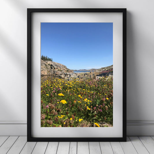Småværet – Kysteng i Blomstring viser et nærbilde av en eng i full flor, med gule og lilla toner som danser under åpen blå himmel. Illustrasjon viser motivet med passepartout i sort ramme.