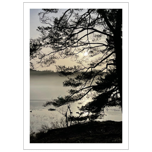 Stemningsfullt bilde fra Skranevatnet fotografert 29. januar 2024. Plakat og lerret.