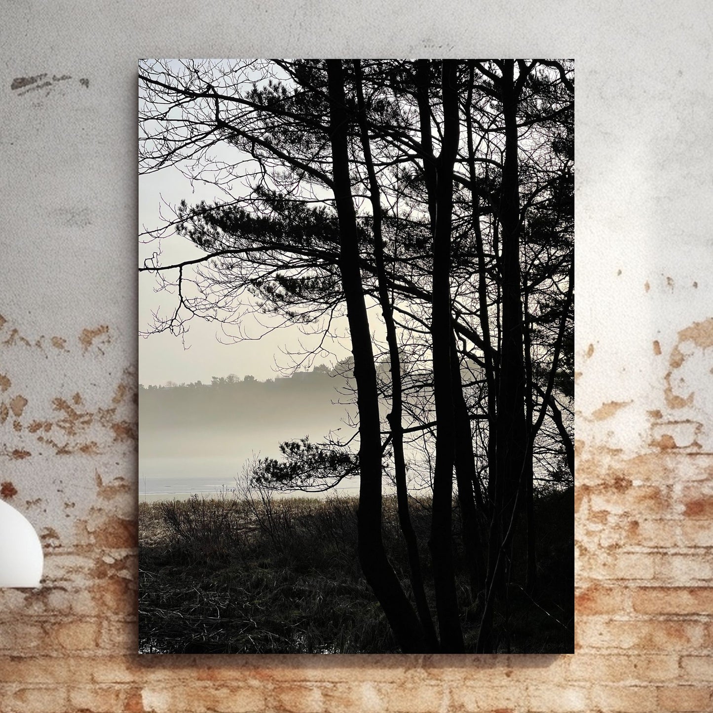 Stemningsfullt bilde fra Skranevatnet fotografert 29. januar 2023. Illustrasjon viser fotografiet som lerret på en murvegg.