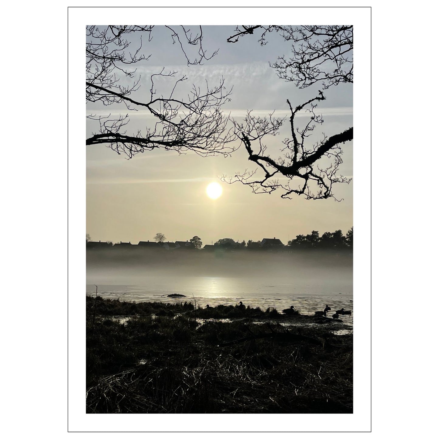 Stemningsfullt bilde fra Skranevatnet fotografert 29. januar 2024. Plakat og lerret.