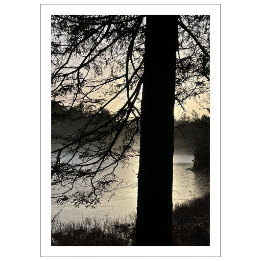 Stemningsfullt bilde fra Skranevatnet fotografert 29. januar 2024. Plakat og lerret.