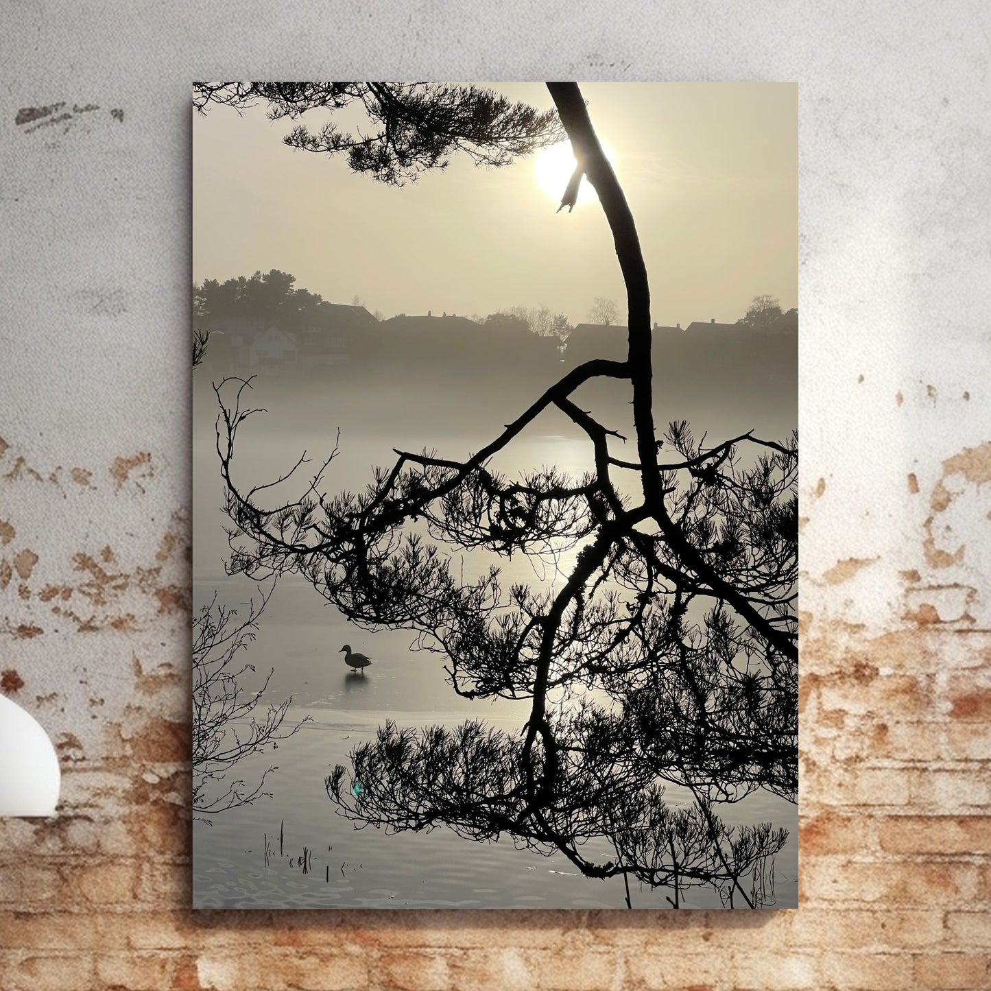 Stemningsfullt bilde fra Skranevatnet fotografert 29. januar 2024. Illustrasjon viser fotografiet som lerret på en murvegg.