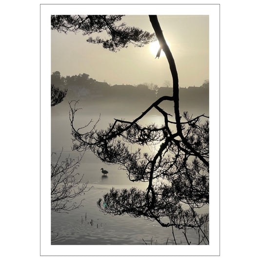 Stemningsfullt bilde fra Skranevatnet fotografert 29. januar 2024. Plakat og lerret.