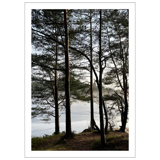 Stemningsfullt bilde fra Skranevatnet fotografert 29. januar 2024. Plakat og lerret.