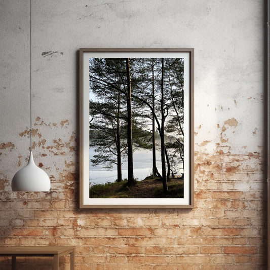 Stemningsfullt bilde fra Skranevatnet fotografert 29. januar 2024. Illustrasjon viser fotografiet i ramme på en murvegg.