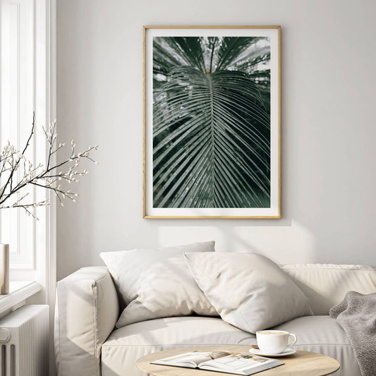 Nærbildet av våte palmeblader skaper en følelse av friskhet og dybde, perfekt for deg som ønsker en tropisk, men sofistikert stil i hjemmet. Illustrasjon viser motivet som plakat i eik ramme.