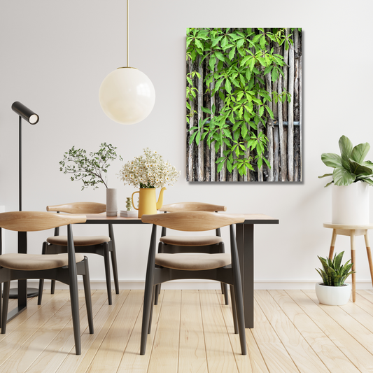 Miljø med fotografi på lerret av Villvin som klatrer oppetter en bambusvegg.