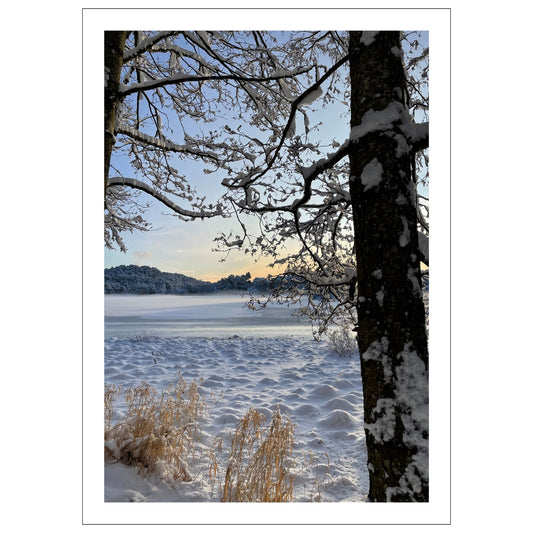 Magisk vinterdag ved Skranevatnet. Motivet fås som plakat og på lerret. Plakat har en hvit kant rundt som gir dybde og fremhever motivet.