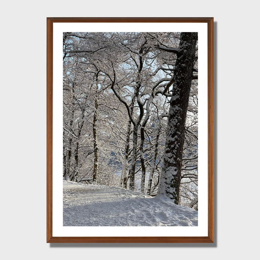 Magisk vinterdag ved Skranevatnet med lav desembersol. Illustrasjon viser plakat i eikeramme.