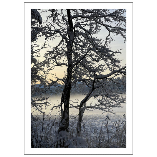 Magisk vinterdag ved Skranevatnet med lav desembersol. Motivet fås som plakat og på lerret. Plakat har en hvit kant rundt som gir dybde og fremhever motivet.