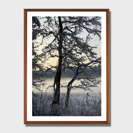 Magisk vinterdag ved Skranevatnet med lav desembersol. Illustrasjon viser plakat i eikeramme.