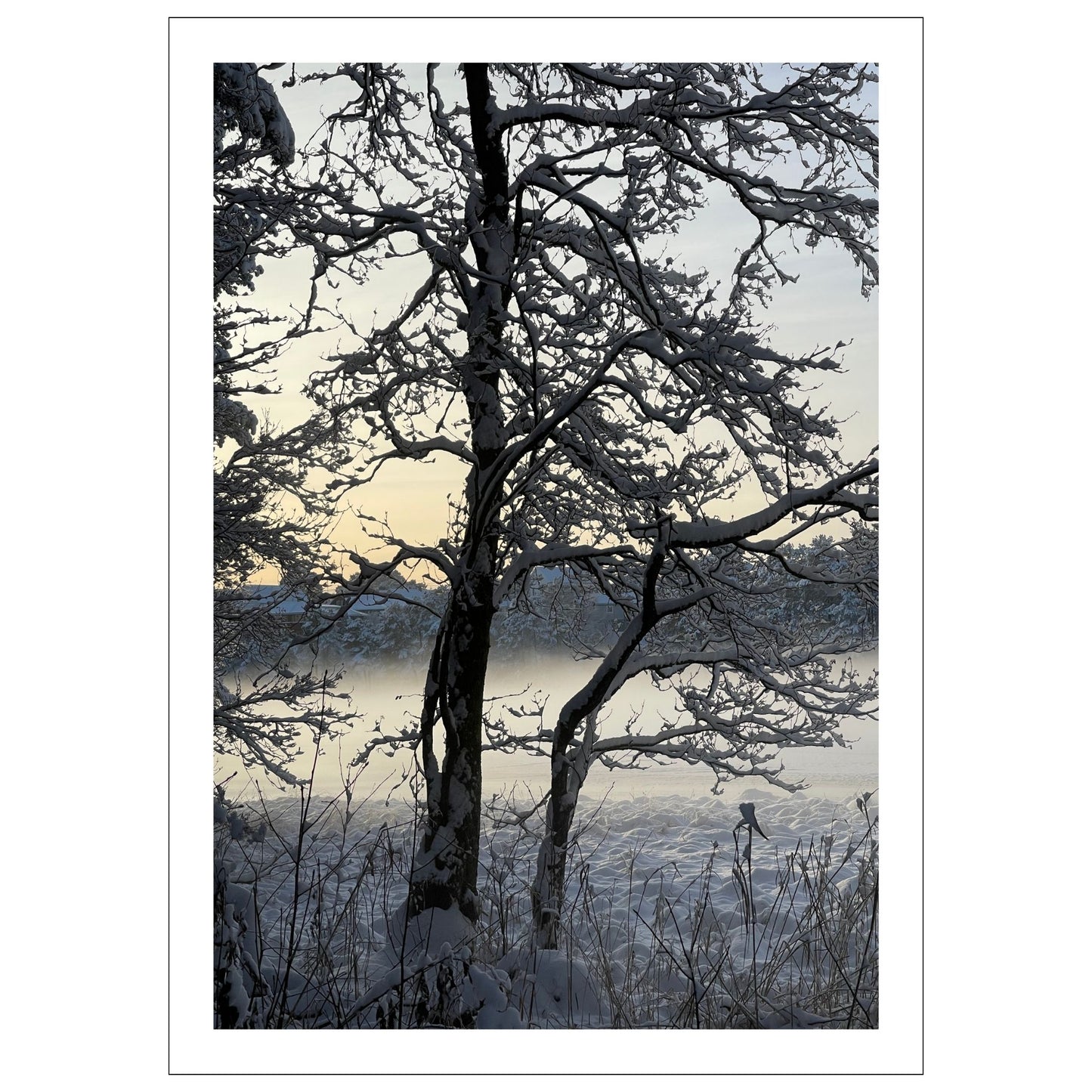 VINTERMAGI No15 er ett av fem motiv som inngår i Galleri Vinter No2.
