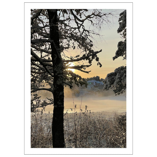 Magisk vinterdag ved Skranevatnet med frostrøyk i lav desembersol. Motivet fås som plakat og på lerret. Plakat har en hvit kant rundt som gir dybde og fremhever motivet.