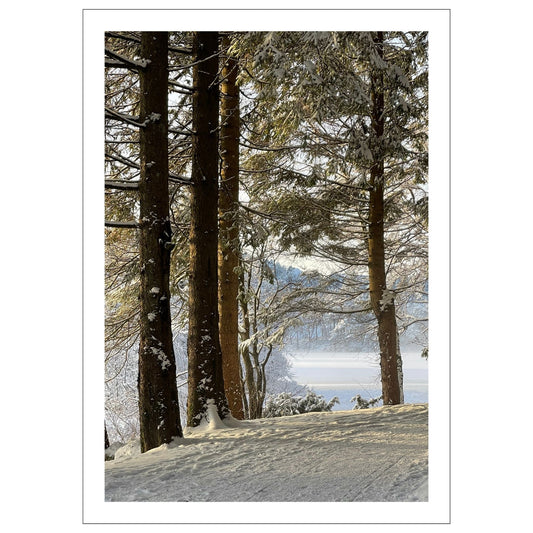 Magisk vinterdag ved Skranevatnet en desmberdag. Motivet fås som plakat og på lerret. Plakat har en hvit kant rundt som gir dybde og fremhever motivet.