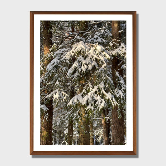 Magisk vinterdag ved Skranevatnet en desmberdag. Illustrasjon viser plakat i eikeramme.