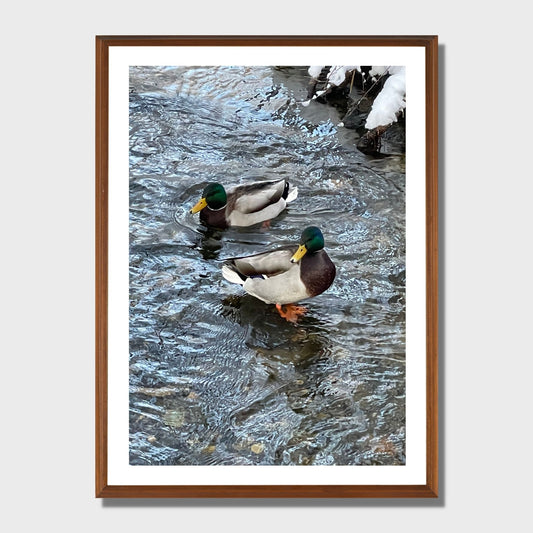 VINTERMAGI No25 - PLAKAT OG LERRET