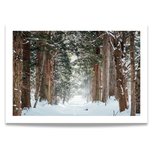 Denne plakaten og lerretet fanger en stemningsfull vintersti omringet av majestetiske, snødekte trær som strekker seg høyt mot himmelen.