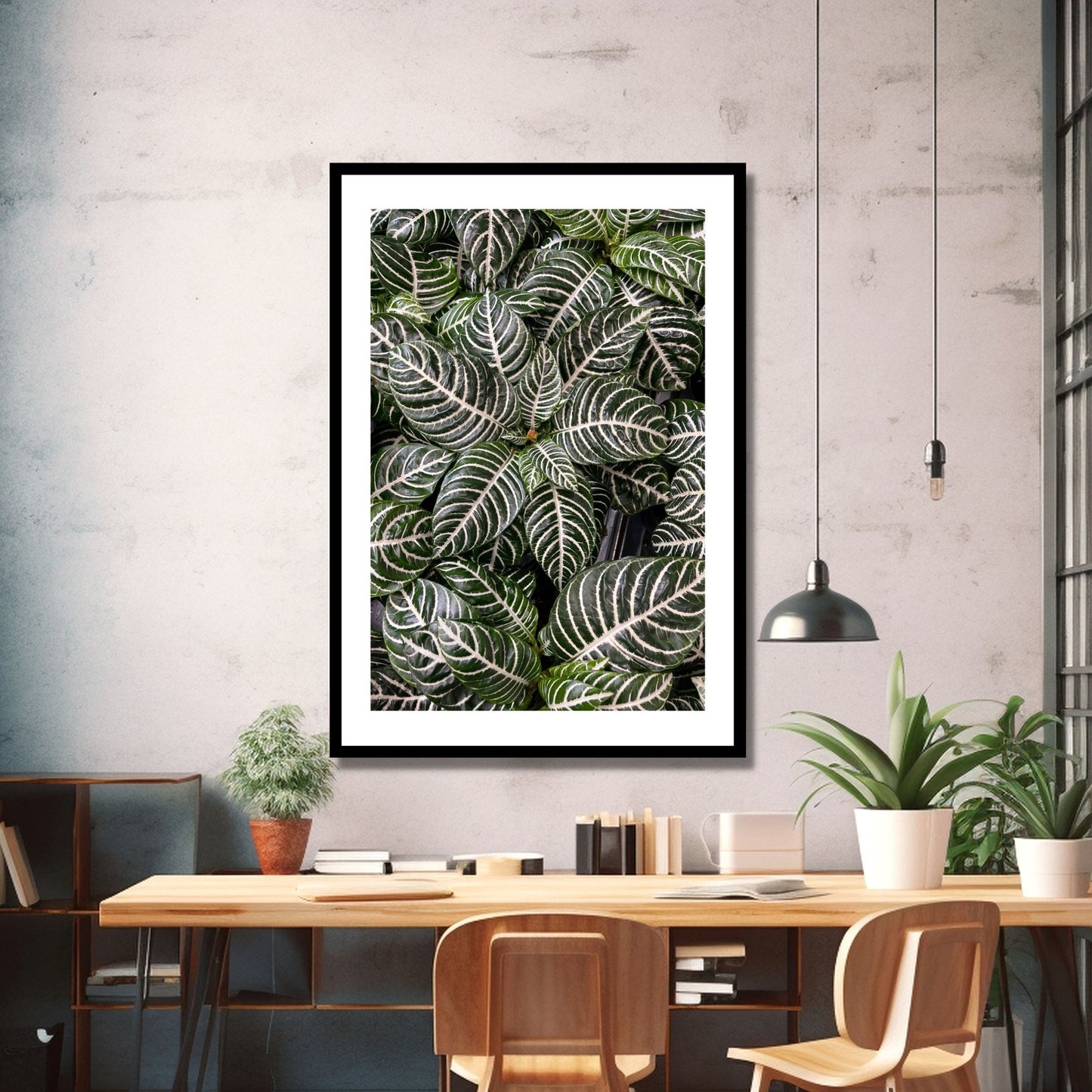 Med sine karakteristiske, mørkegrønne blader og slående hvite striper, bringer denne tropiske planten naturens skjønnhet rett inn i ditt hjem. Illustrassjonsfoto viser motivet som plakat i sort ramme.