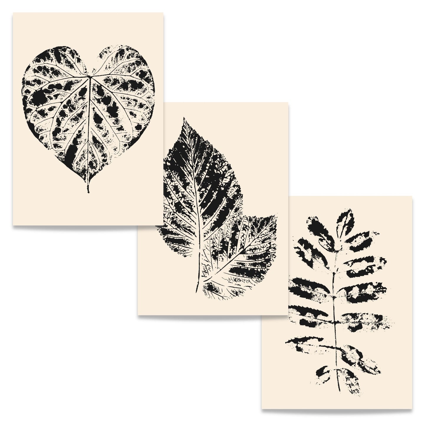 Nordic Botanical Trio – tre botaniske plakater og lerret med 20 % rabatt ved kjøp av komplett trio.