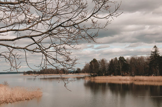 Vakker natur ved Mälaren.