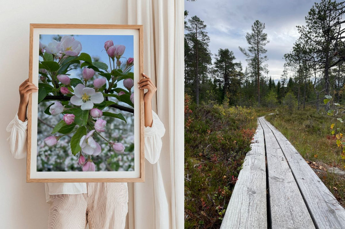 Nye naturmotiver fra Trøndelag - Norsk natur rett hjem på veggen