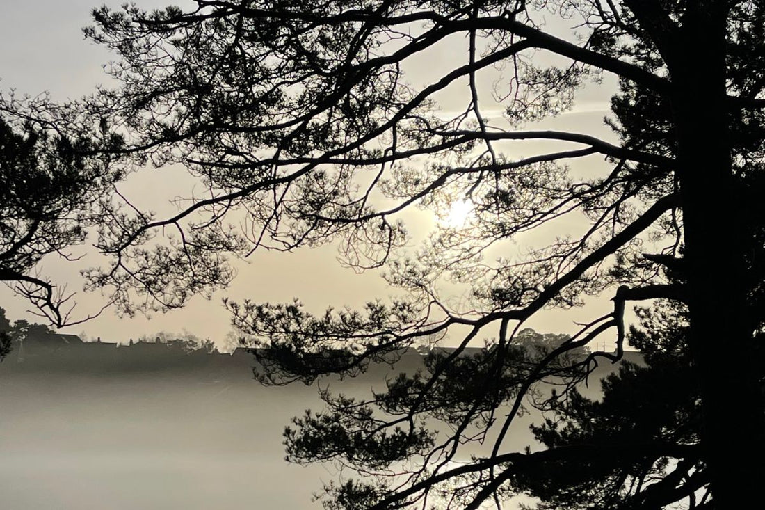 Stemning ved Skranevatnet 29.01.2024