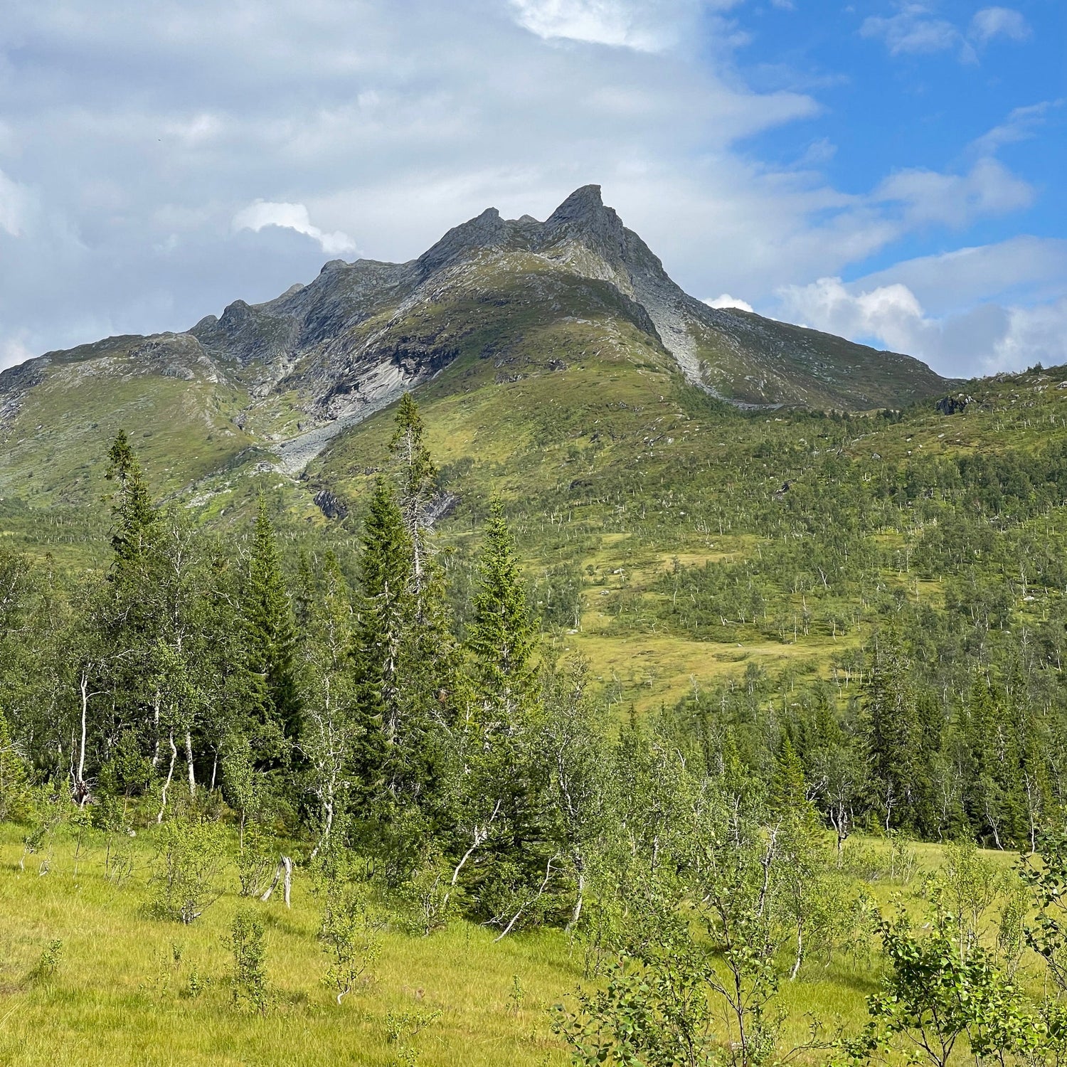 NATUR & LANDSKAP