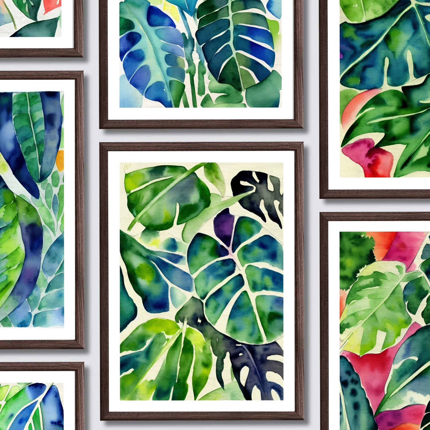 Monstera Collection