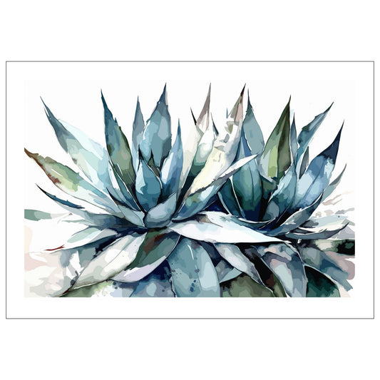 Grafisk akvarell av en praktfull Aloe Vera plante i grågrønne fargenyanser, mot en ren hvit bakgrunn.