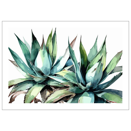 Grafisk akvarell av en praktfull Aloe Vera plante i grønne fargenyanser, mot en ren hvit bakgrunn.
