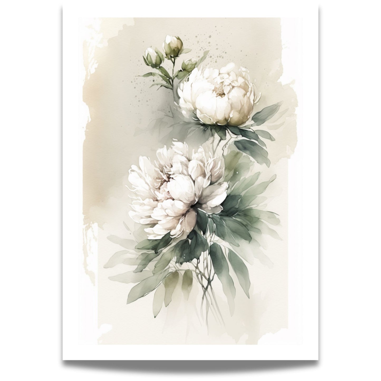 Akvarell Peonprakt No3 er et sart og detaljrikt blomsterbilde som kombinerer klassisk botanikk med moderne akvarellteknikk.