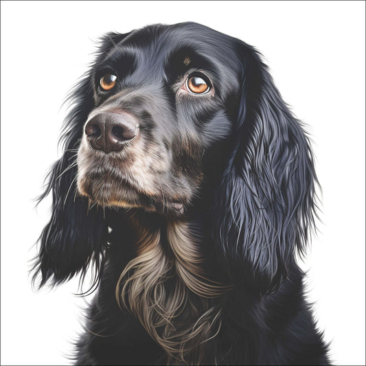 Elegant Cocker Spaniel er en ideell plakat for stuen, soverommet eller kontoret og vil tilføre et preg av raffinement og varme. 