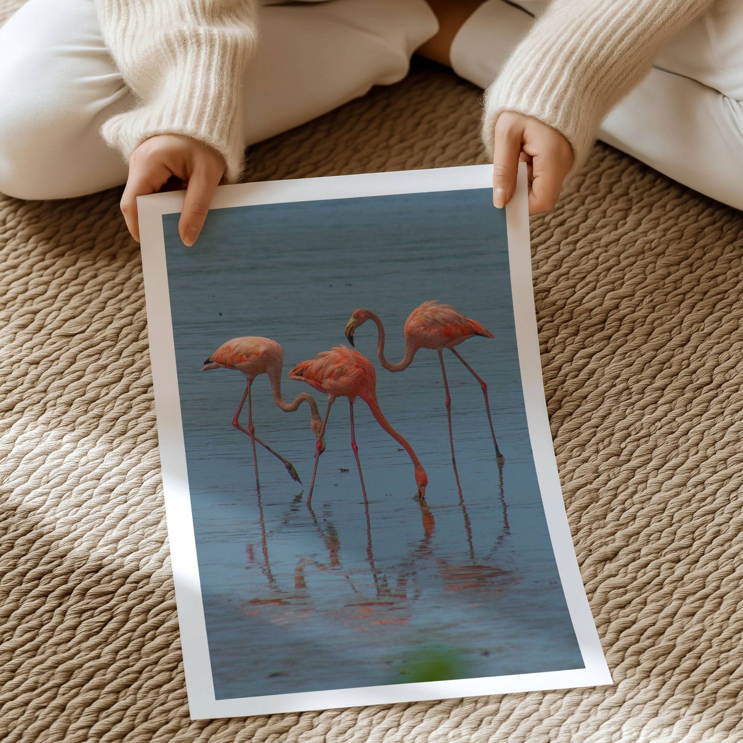 Dette fargerike naturmotivet fanger en gruppe flamingoer i stille vann, med vakre refleksjoner og rolige omgivelser. Illustrasjon viser motivet som plakat med hvit kantlinje på print.