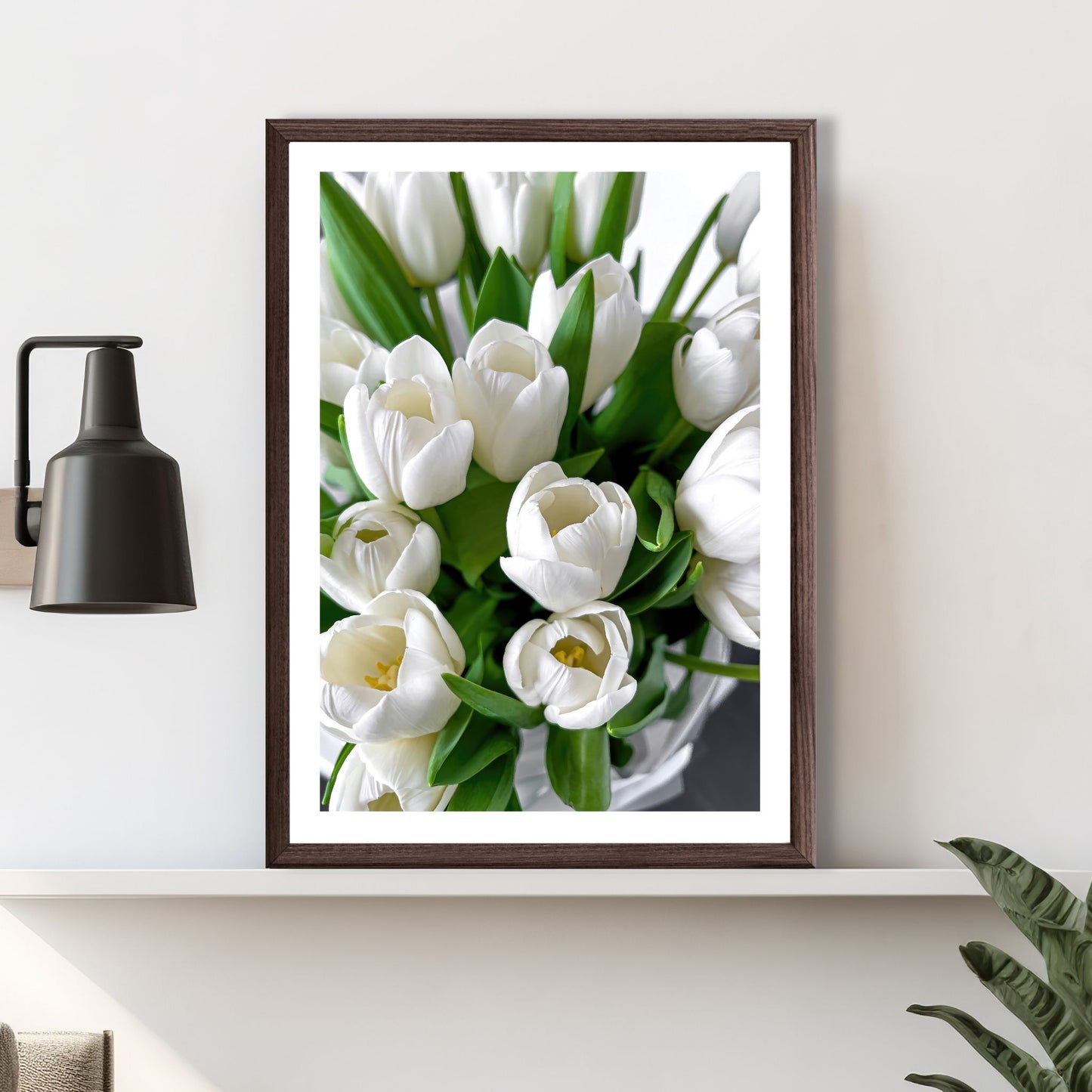 Fotografi av bukett med hvite tulipaner. Illustrasjonsfoto viser plakat i ramme som står på en hylle.