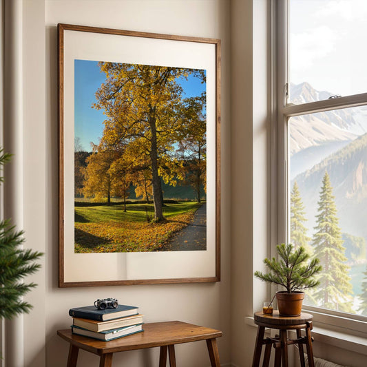 På dette plakatmotivet stråler sollyset gjennom trekronene og bader løvet i gyllen glød, mens stien leder blikket innover i landskapet. Et varmt og harmonisk naturmotiv som gir rommet ditt både dybde og ro. Illustrasjonsfoto viser motivet i eik ramme.