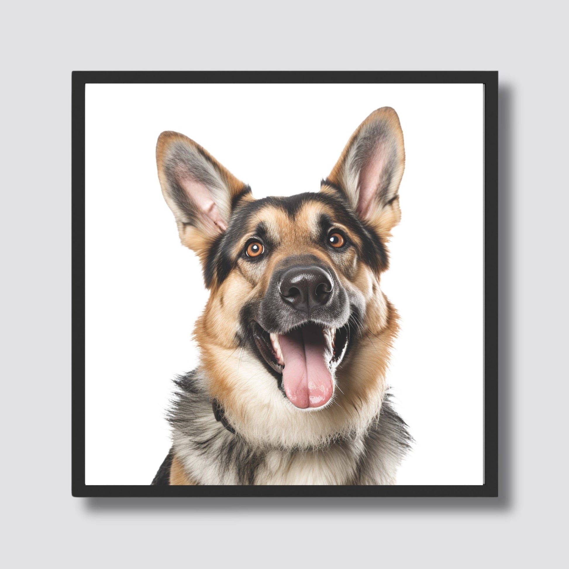 Denne plakaten fanger hundens lojale og muntre natur, med dens glade smil og våkne blikk, som gjør den til et perfekt valg for hundeelskere. Illustrasjonsfoto viser motivet i sort ramme.