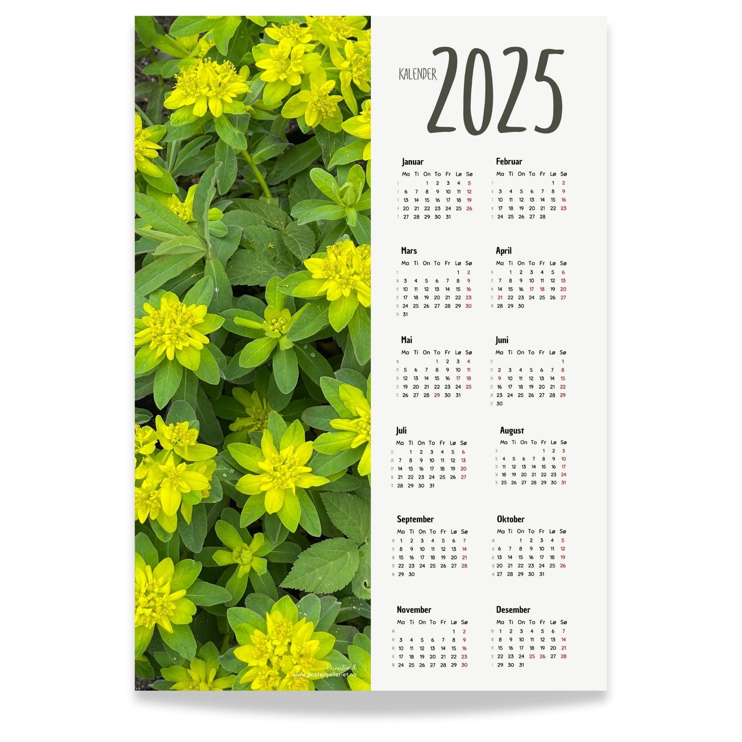 Planlegg året med stil med Kalender 2025! Kalenderen er både funksjonell og dekorativ, og passer perfekt på veggen.  