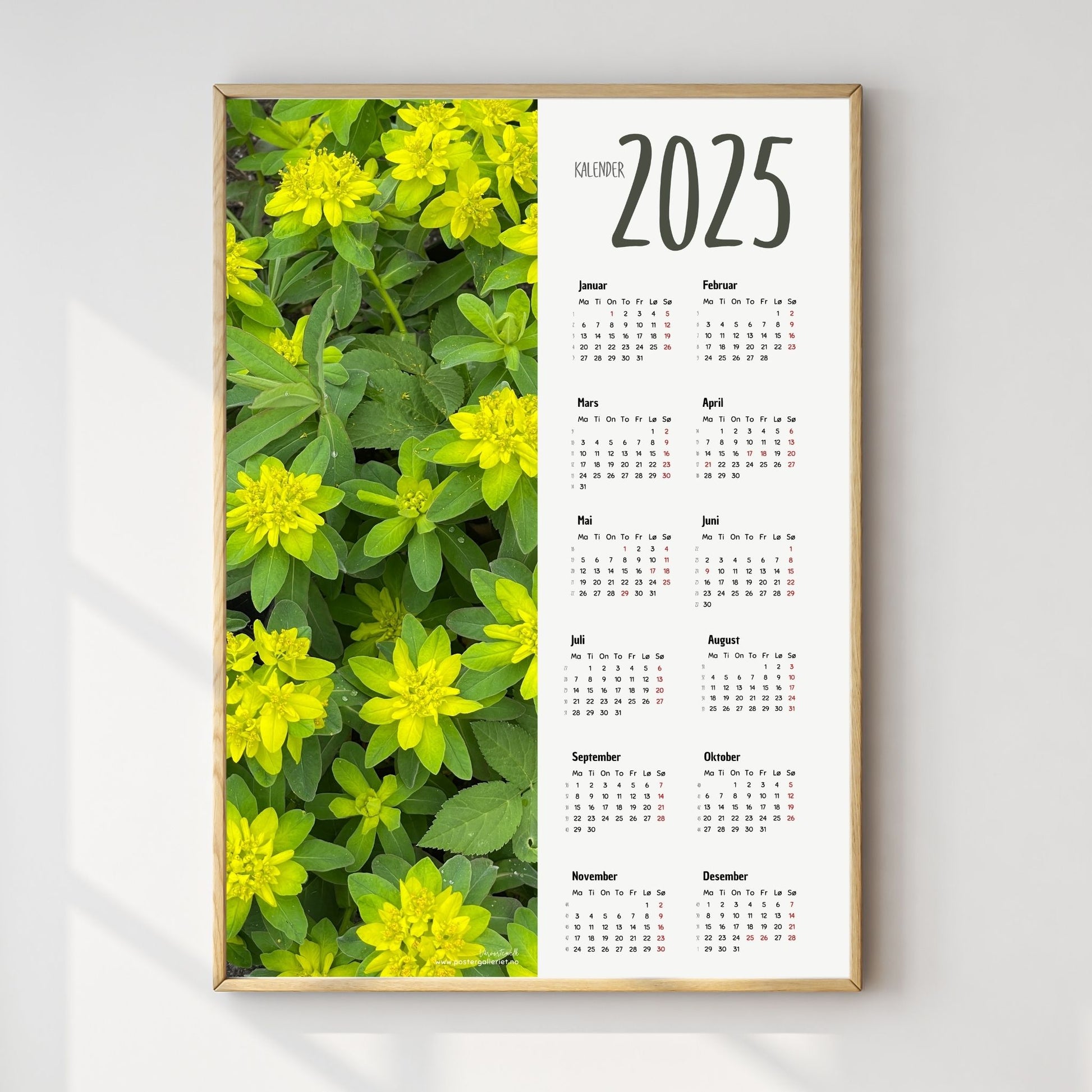Planlegg året med stil med Kalender 2025! Kalenderen er både funksjonell og dekorativ, og passer perfekt på veggen. Ilustrasjonsfoto viser kalender i lys ramme.