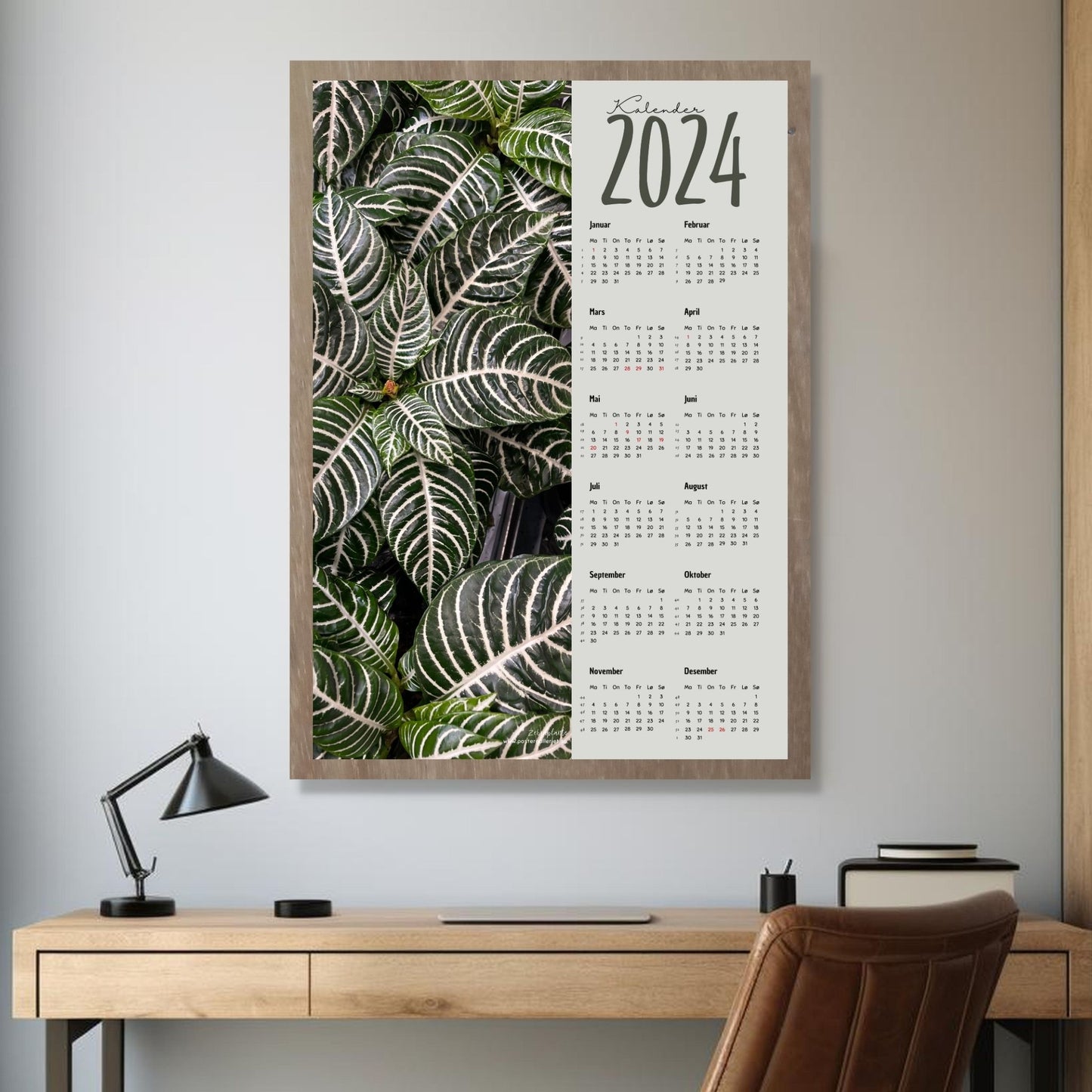 Kalender 2024 i grafisk print med fotomotiv. Halve vertikale side har et fotomotiv av en Zebra grønnplante. Den andre halvdelen er påført 12 måneder med ukenummer og anmerket høytidsdager. Miljøbilde av kalender i eikeramme som henger på en vegg.