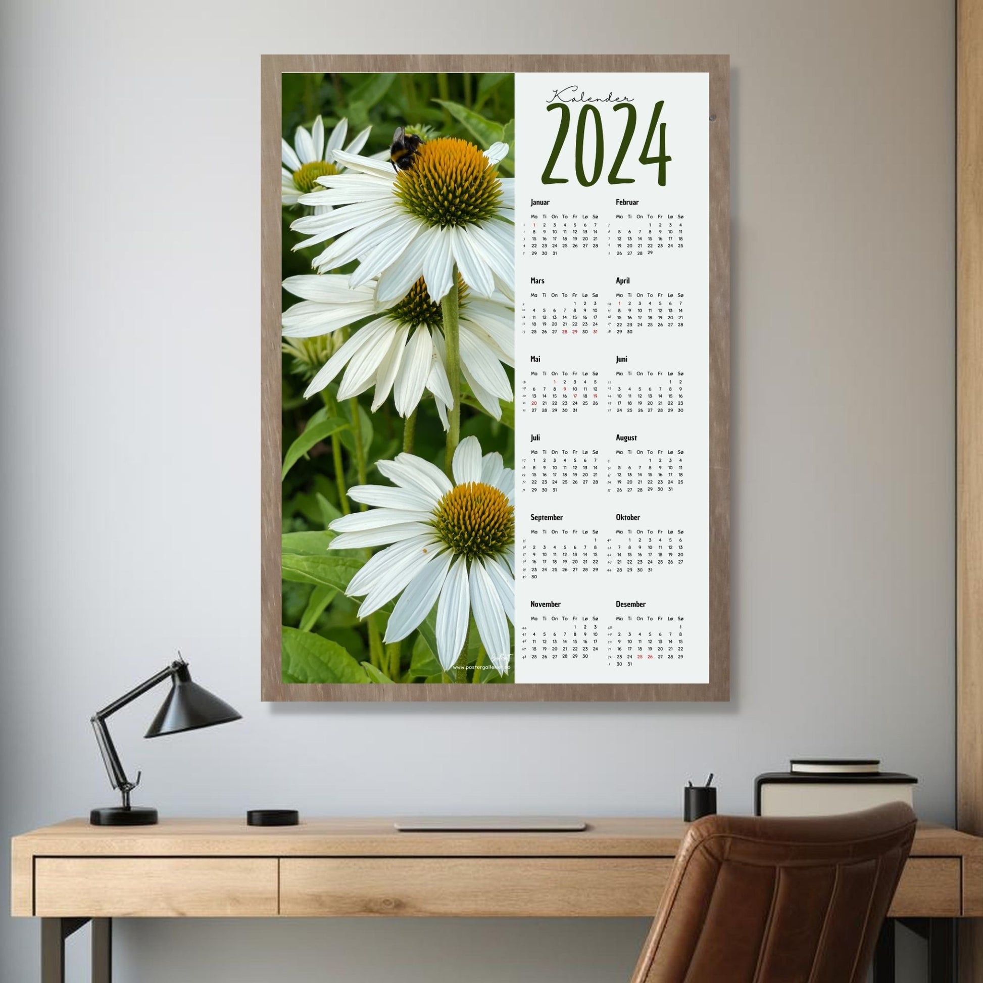 Kalender 2024 i grafisk print med fotomotiv. Halve vertikale side er et fotografi av hvite Solhatt blomster. Den andre halvdelen er påført 12 måneder med ukenummer og anmerket høytidsdager. Miljøbilde av kalender i eikeramme som henger på en vegg.