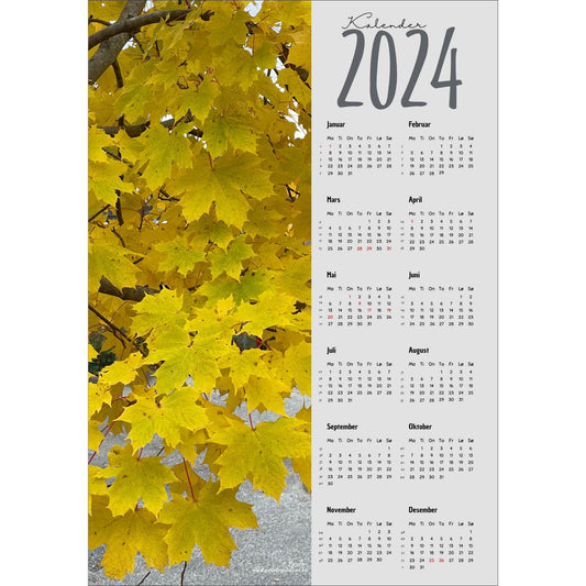 Kalender 2024 i grafisk print med fotomotiv. Halve vertikale side er et fotografi en Lønn i høstgule farger. Den andre halvdelen er påført 12 måneder med ukenummer og anmerket høytidsdager. 