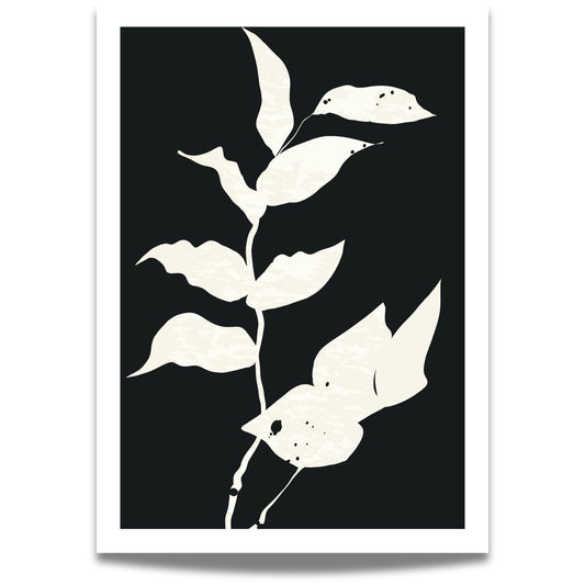 Monochrome Botanica No2 er en stilren plakat med botanisk motiv i kontrastfull sort-hvitt design