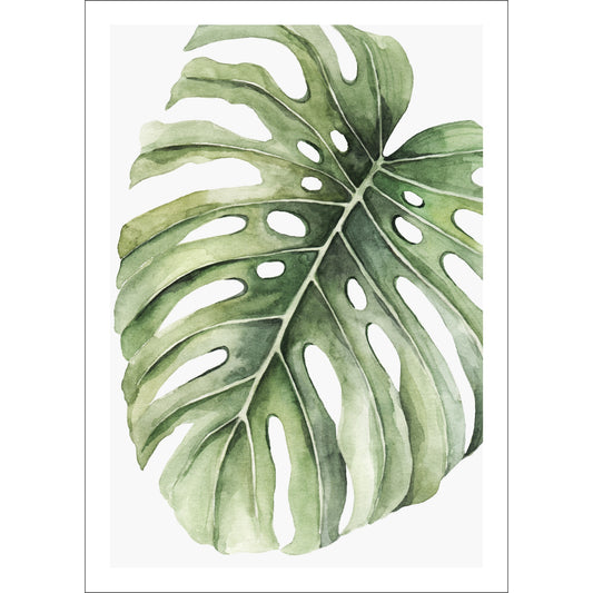 Forny hjemmet ditt med et snev av naturens skjønnhet med vår grafiske akvarell "Monstera Leaf" plakat og lerret.