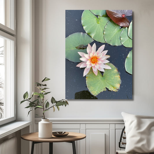 Fotografi av en hvit vannlilje i Musèhagen, Bergen. Illustrasjonsfoto viser motivet på lerret.