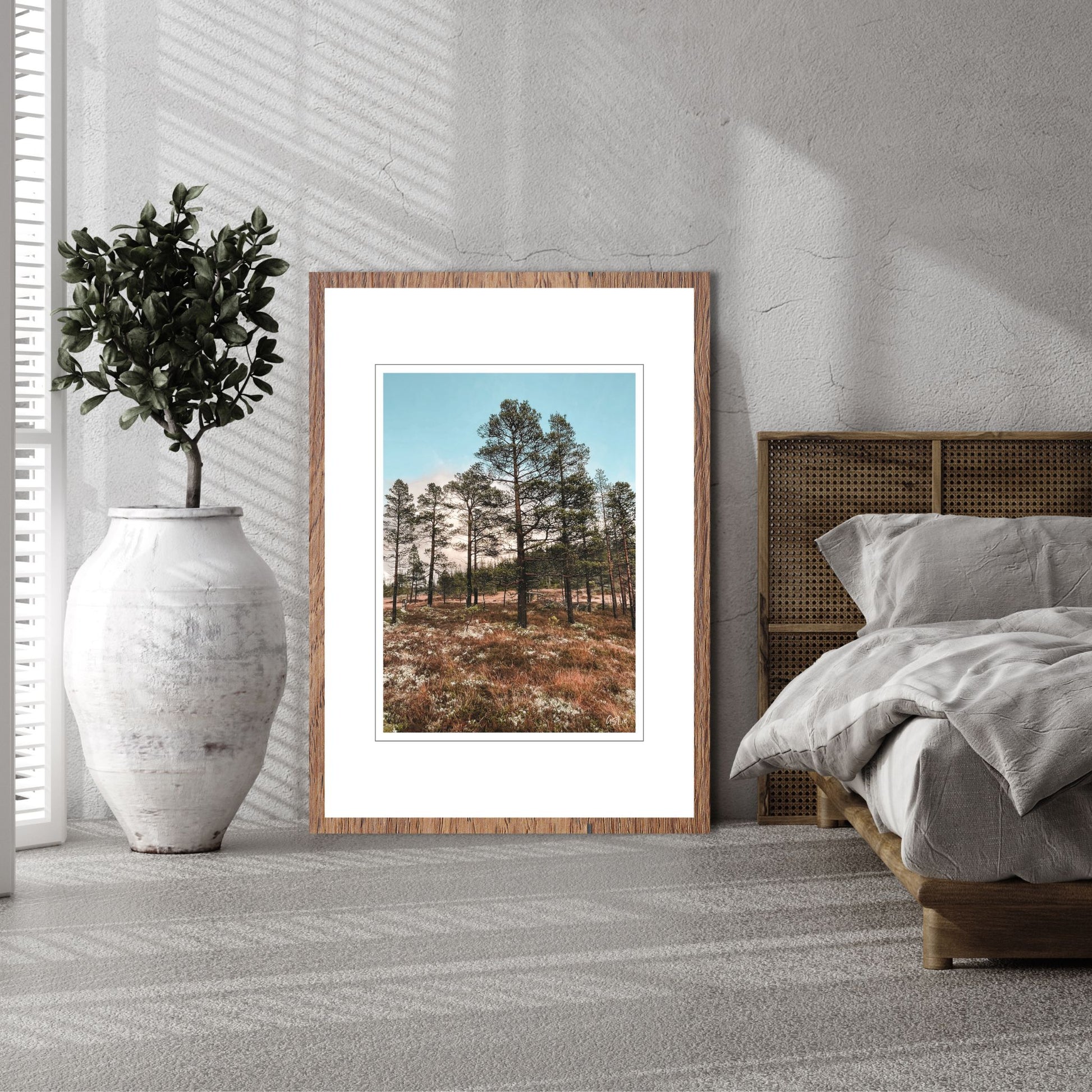Ta naturen inn i rommet med plakat av norsk natur! Nå kan du dekorere veggen din med høstbilder fra Fergeli i Trøndelag. Sviller for å gå på i myra- Høstfarget grass, fjell og skog i bakkant av bildet. Illustrasjonsfoto viser motivet som plakat i ramme.